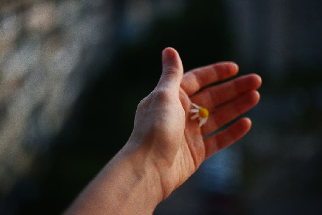 《子夜归》徐凯是干什么的？